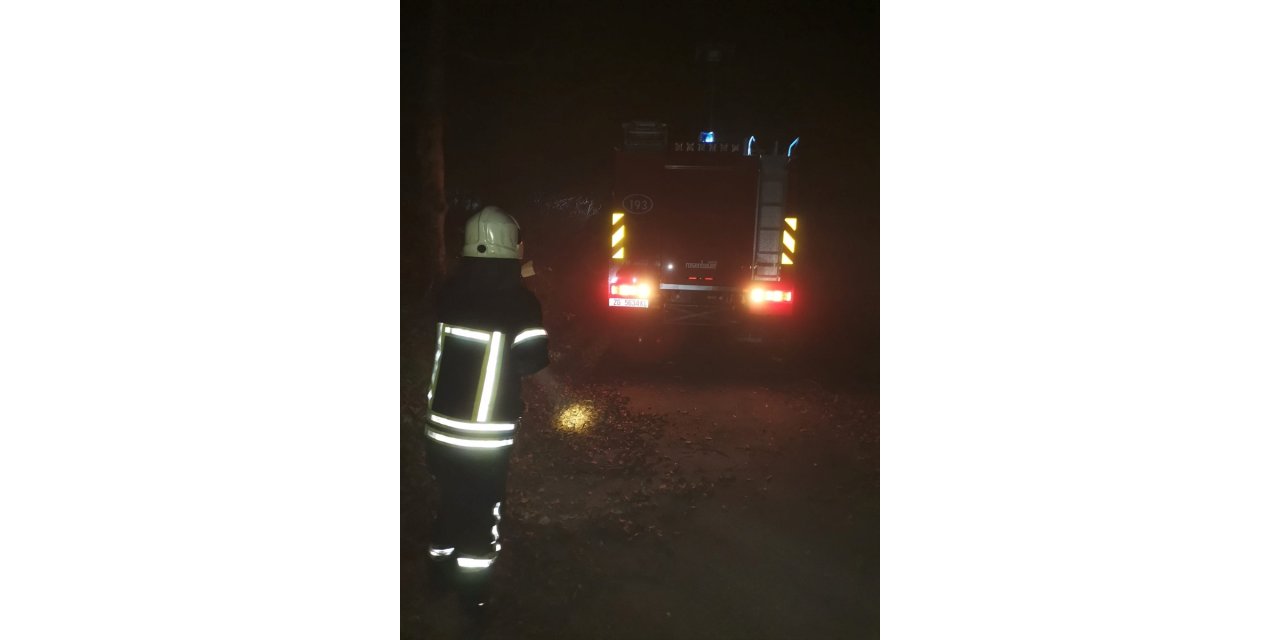 Turkish firefighting plane crashes in Croatia, pilot dead: Minister