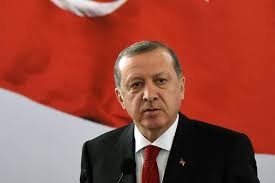 Turkey to continue energy search in Black Sea: Erdogan