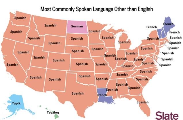 Most Common Languages in U.S.