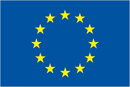 Former Swedish PM criticizes EU response to coup bid