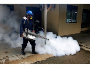 UPDATES - Singapore, Indonesia take measures against Zika
