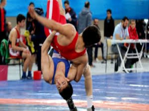 Turkey's Erdin wins silver in world wrestling event
