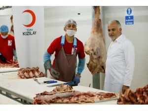 Turkish charity to sacrifice animals in 51 countries