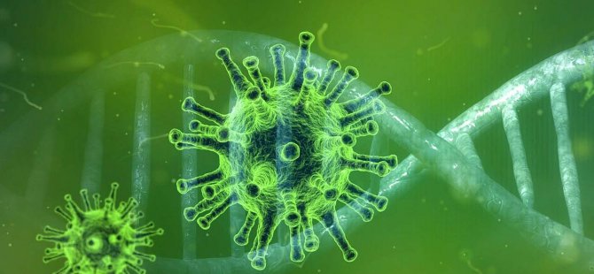 US: New York coronavirus deaths top 10,000