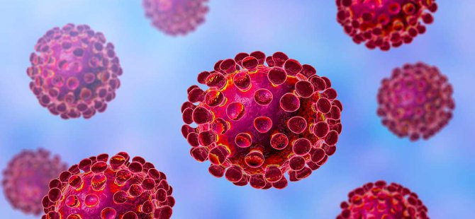 US coronavirus death toll nears 54,000