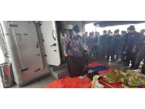 UPDATE 2 - Indonesia: Suspected black box signals from plane found
