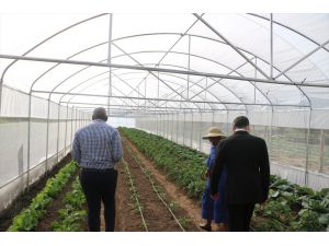 Turkey’s aid agency installs greenhouses at 5 schools in Lesotho