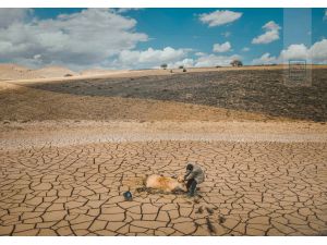 Istanbul Photo Awards 2022 winners announced