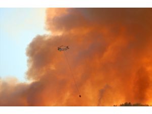 Largest wildfire in Texas history rages out of control, 1 dead